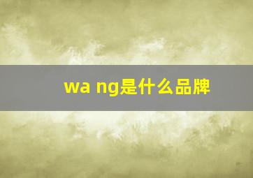 wa ng是什么品牌